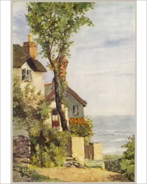 Shelley  /  Lynmouth Cottage