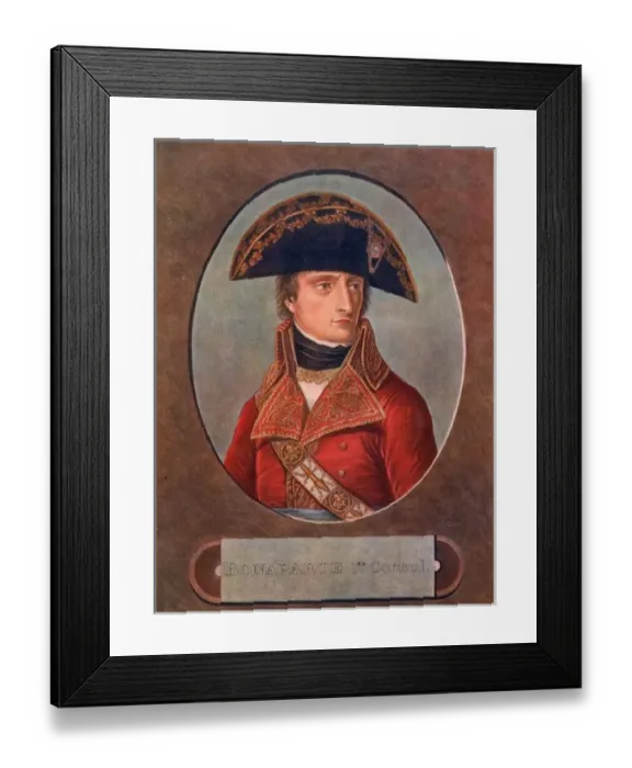 Framed Print : Napoleon (Appiani 2) Framed Print : Napoleon (Appiani 2)