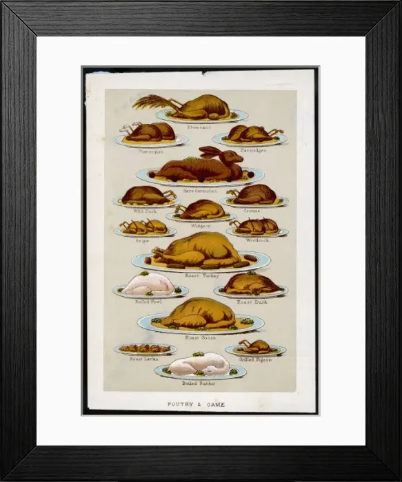 Framed Print : Poultry and Game Framed Print : Poultry and Game