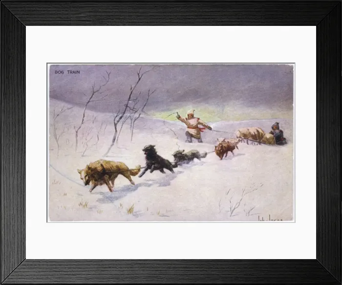 Framed Print : American Dog Train Framed Print : American Dog Train