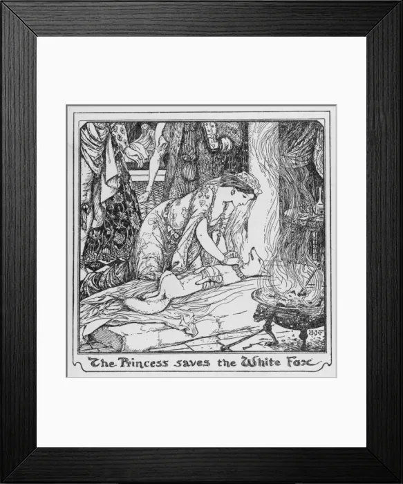 Framed Print : Comb & Collar / White Fox Framed Print : Comb & Collar / White Fox