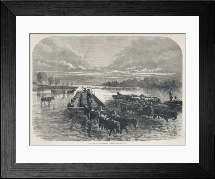 Framed Print : Oil / Horse Cares / In Water Framed Print : Oil / Horse Cares / In Water