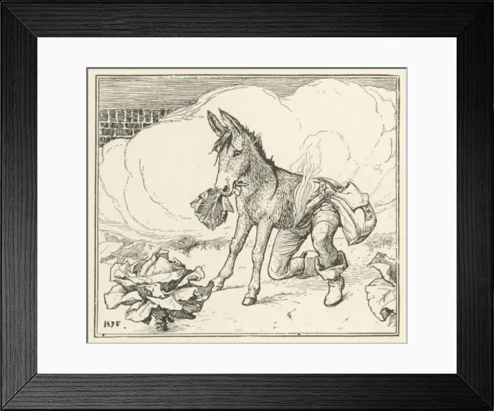 Framed Print : The Donkey Cabbage Framed Print : The Donkey Cabbage