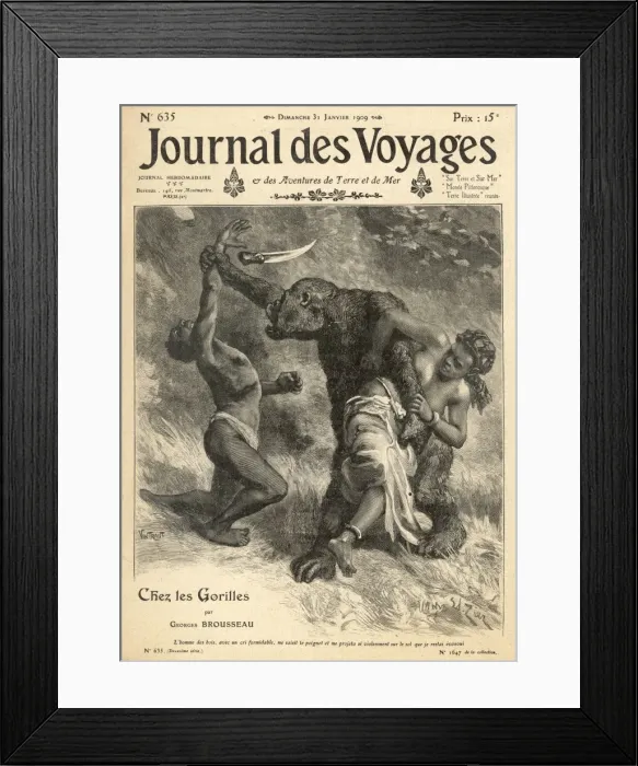 Framed Print : Gorilla on the Attack Framed Print : Gorilla on the Attack