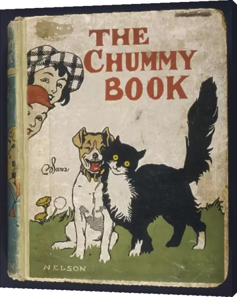 THE CHUMMY BOOK