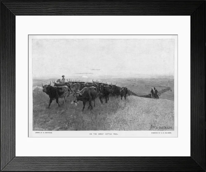 Framed Print : Abilene Trail for Cattle Framed Print : Abilene Trail for Cattle