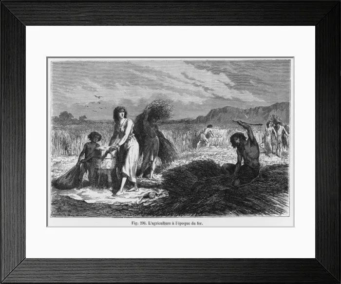 Framed Print : Iron Age Farming / Figuier Framed Print : Iron Age Farming / Figuier