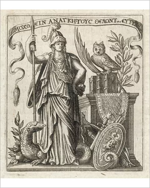 Athena (Mussard)