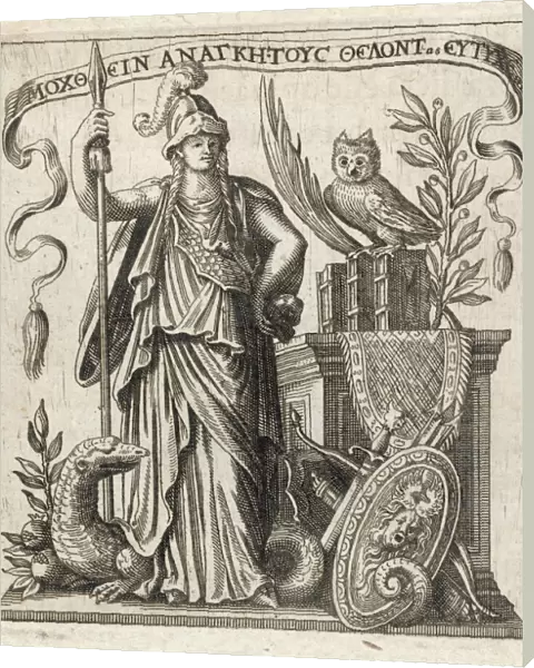 Athena (Mussard)
