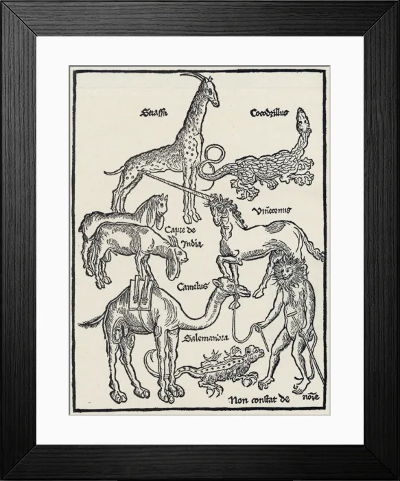 Framed Print : Monsters of Asia