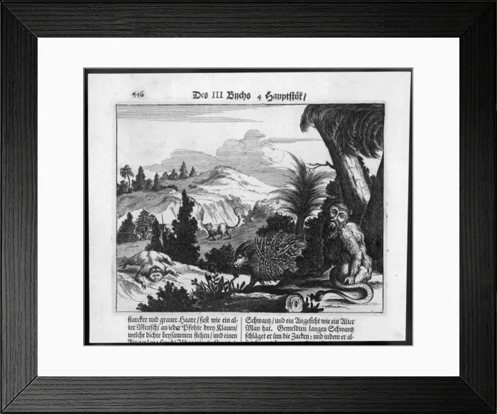 Framed Print : Monsters of Brazil Framed Print : Monsters of Brazil