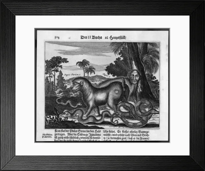 Framed Print : Monsters of Guatemala
