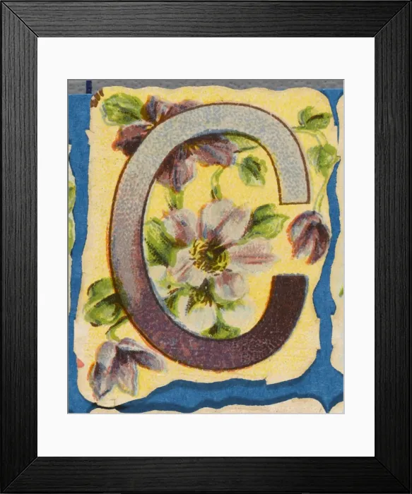 Framed Print : FLOWER C. Flowery C Framed Print : FLOWER C. Flowery C