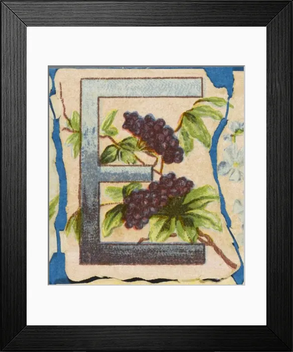 Framed Print : FLOWER E. Flowery E Framed Print : FLOWER E. Flowery E