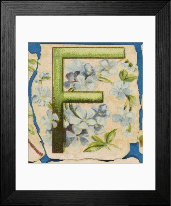 Framed Print : FLOWER F. Flowery F Framed Print : FLOWER F. Flowery F
