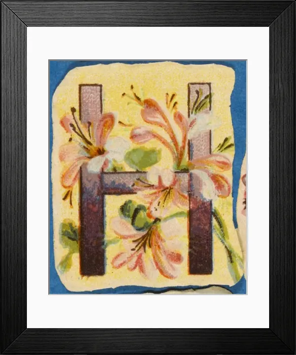 Framed Print : FLOWER H. Flowery H Framed Print : FLOWER H. Flowery H