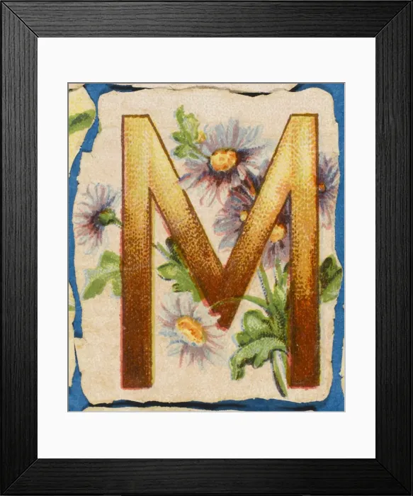 Framed Print : FLOWER M. Flowery M Framed Print : FLOWER M. Flowery M