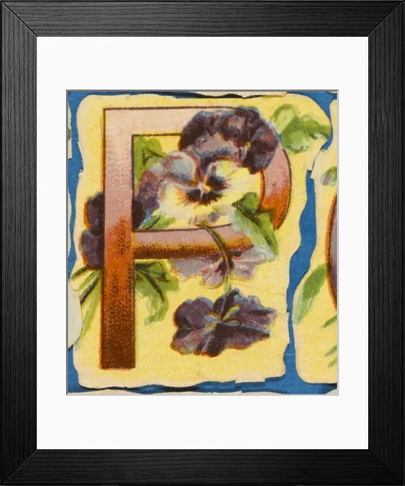Framed Print : FLOWER P. Flowery P Framed Print : FLOWER P. Flowery P