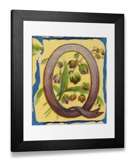 Framed Print : FLOWER Q. Flowery Q Framed Print : FLOWER Q. Flowery Q
