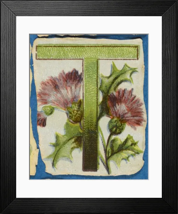 Framed Print : FLOWER T. Flowery T Framed Print : FLOWER T. Flowery T