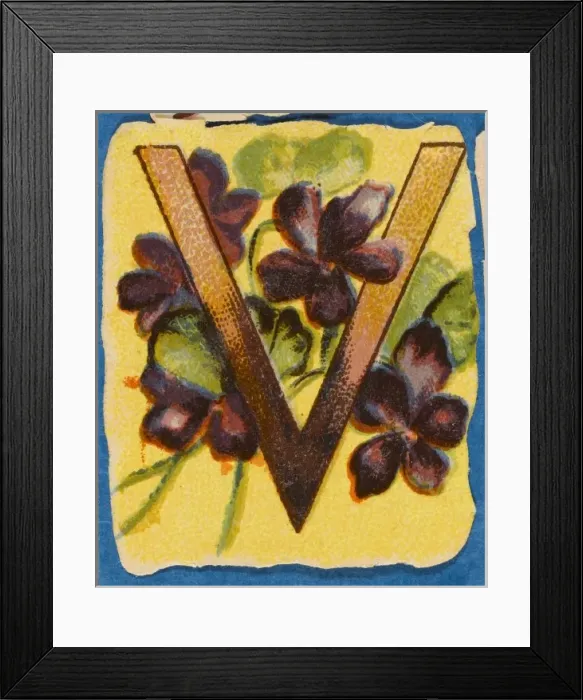Framed Print : FLOWER V. Flowery V Framed Print : FLOWER V. Flowery V