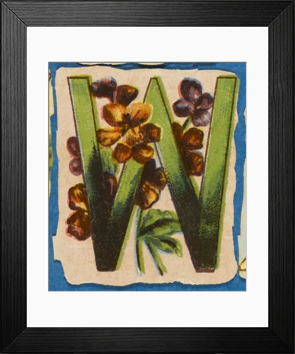 Framed Print : FLOWER W. Flowery W Framed Print : FLOWER W. Flowery W