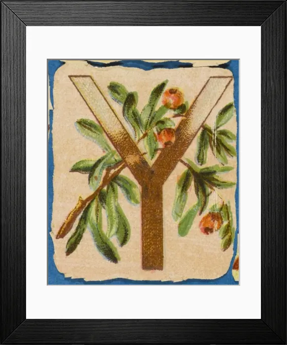 Framed Print : FLOWER Y. Flowery Y Framed Print : FLOWER Y. Flowery Y