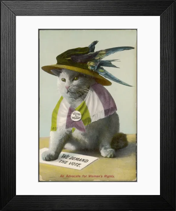 Framed Print : Satire / Advocate Framed Print : Satire / Advocate