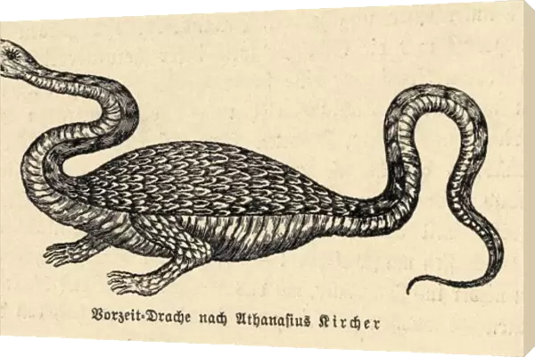 Dragon (Kircher)