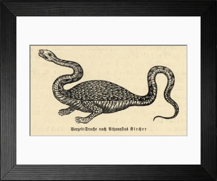 Framed Print : Dragon (Kircher) Framed Print : Dragon (Kircher)