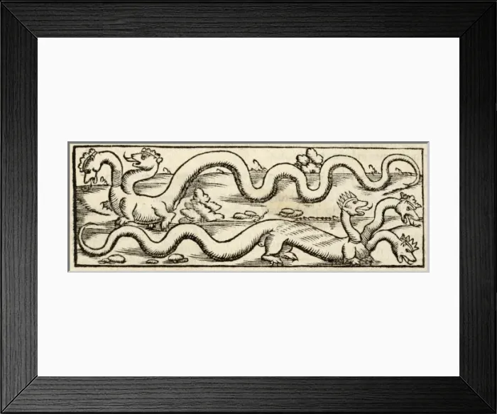 Framed Print : Dragon (Munster) Framed Print : Dragon (Munster)