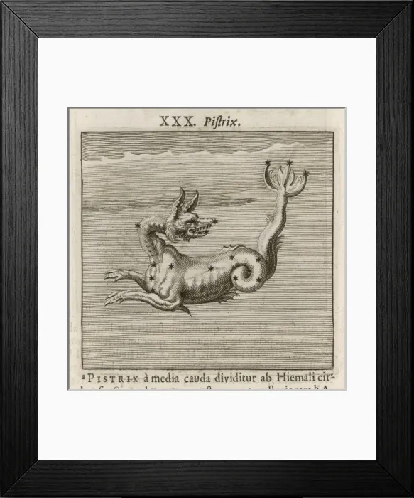 Framed Print : Hyginus / Pistrix Framed Print : Hyginus / Pistrix