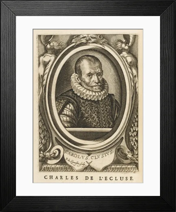Framed Print : Charles De L ecluse Framed Print : Charles De L ecluse