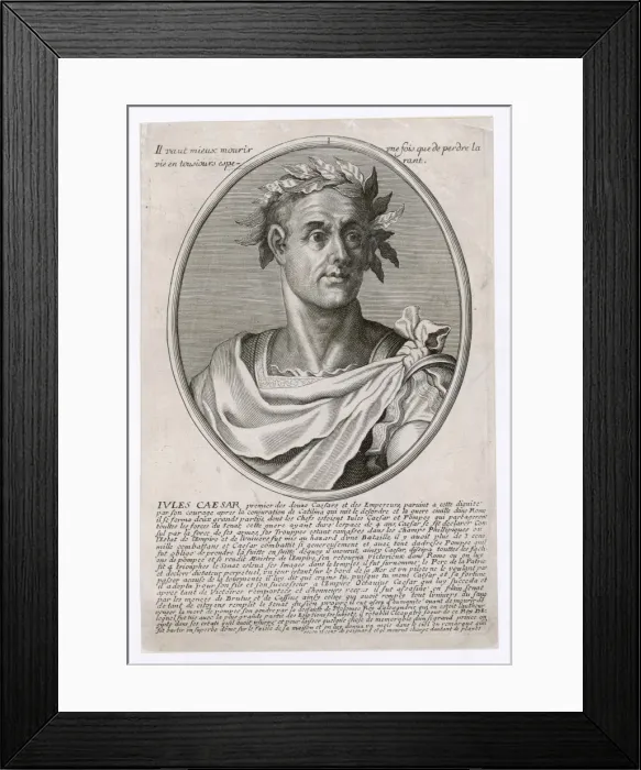 Framed Print : Julius Caesar (Wreathed) Framed Print : Julius Caesar (Wreathed)