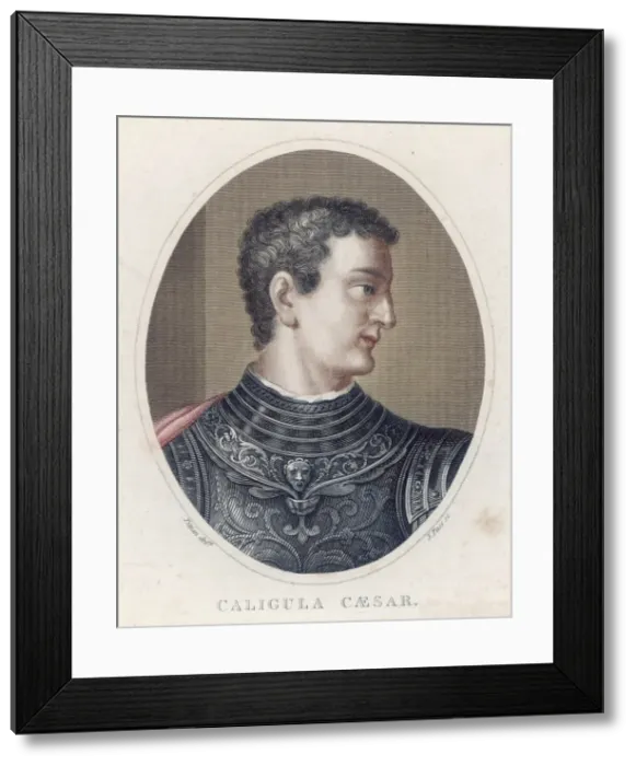 Framed Print : Caligula (Titian Col) Framed Print : Caligula (Titian Col)