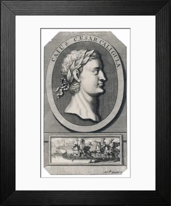 Framed Print : Caligula (M V Gucht) Framed Print : Caligula (M V Gucht)
