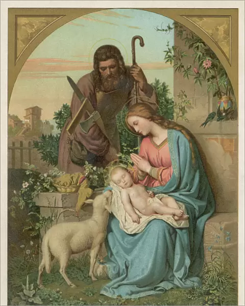 Nativity  /  With Lamb