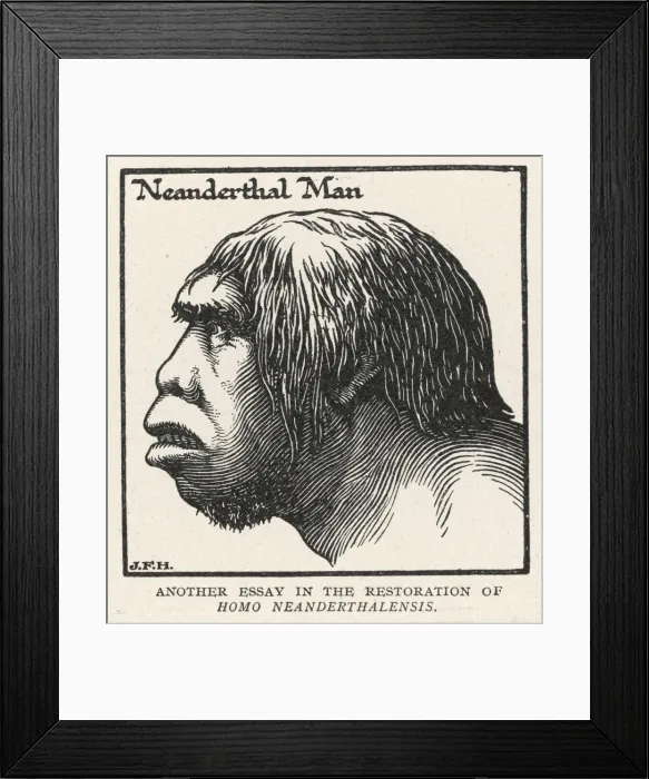 Framed Print : Neanderthal Man / Profile Framed Print : Neanderthal Man / Profile