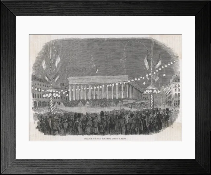 Framed Print : Tree of Liberty Framed Print : Tree of Liberty