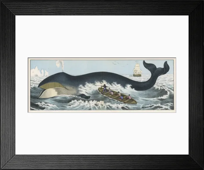 Framed Print : Baleen Whale & Whalers Framed Print : Baleen Whale & Whalers