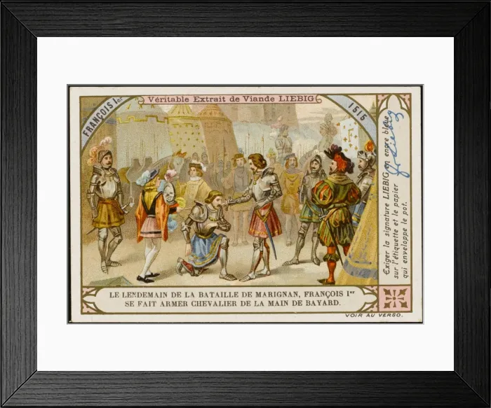 Framed Print : Francois I Knighted Framed Print : Francois I Knighted