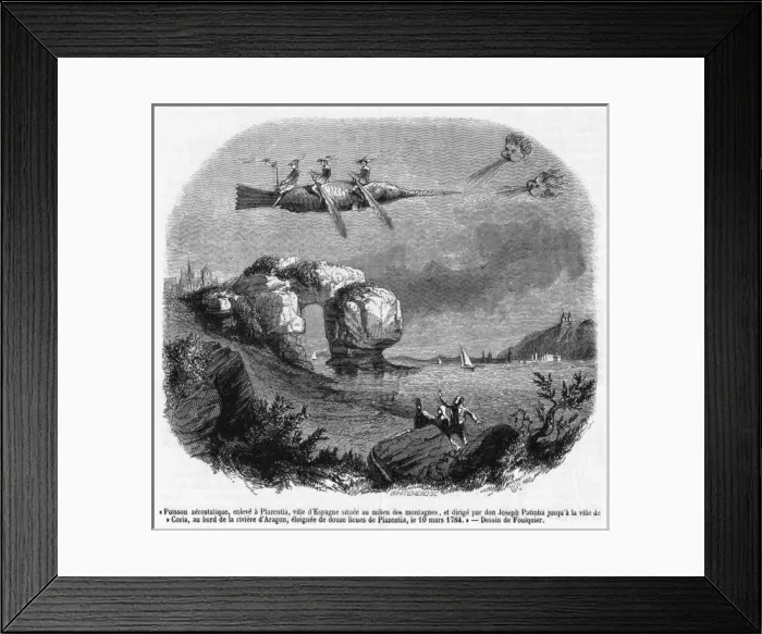 Framed Print : Patinhas Project Framed Print : Patinhas Project