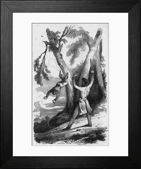 Framed Print : Mistaken for a Bird Framed Print : Mistaken for a Bird