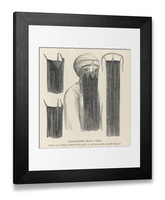 Framed Print : Egyptian Veils - 1 Framed Print : Egyptian Veils - 1
