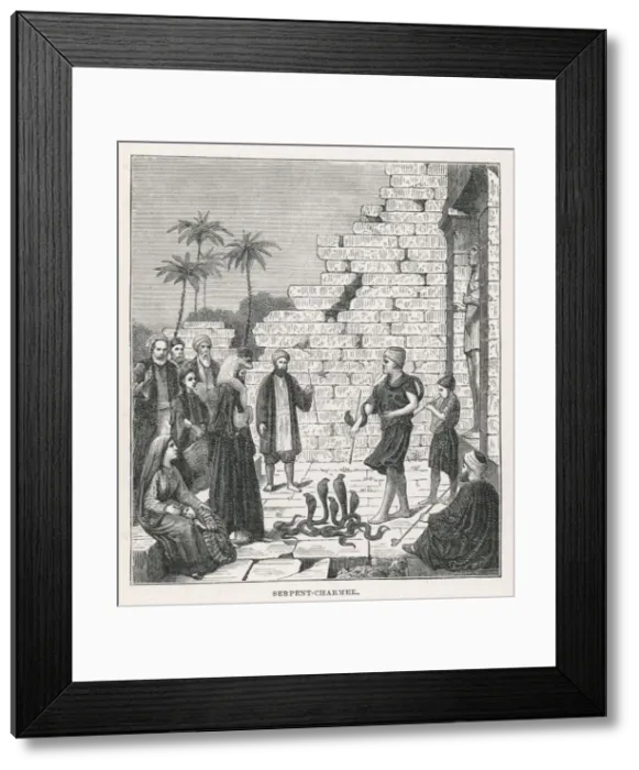 Framed Print : Egypt Snake Charmer Framed Print : Egypt Snake Charmer
