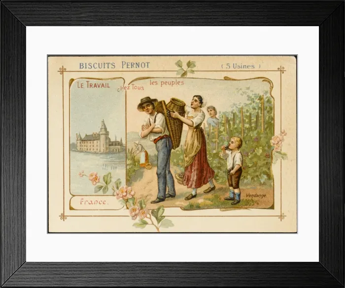 Framed Print : Wine, France Framed Print : Wine, France