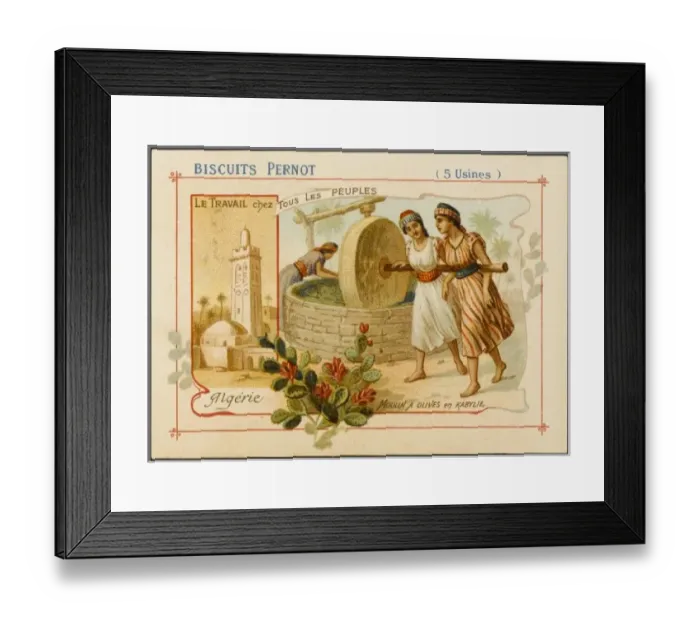 Framed Print : Olives from Algeria Framed Print : Olives from Algeria