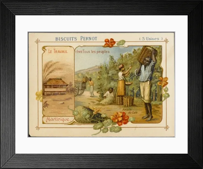 Framed Print : Martinique Coffee Framed Print : Martinique Coffee