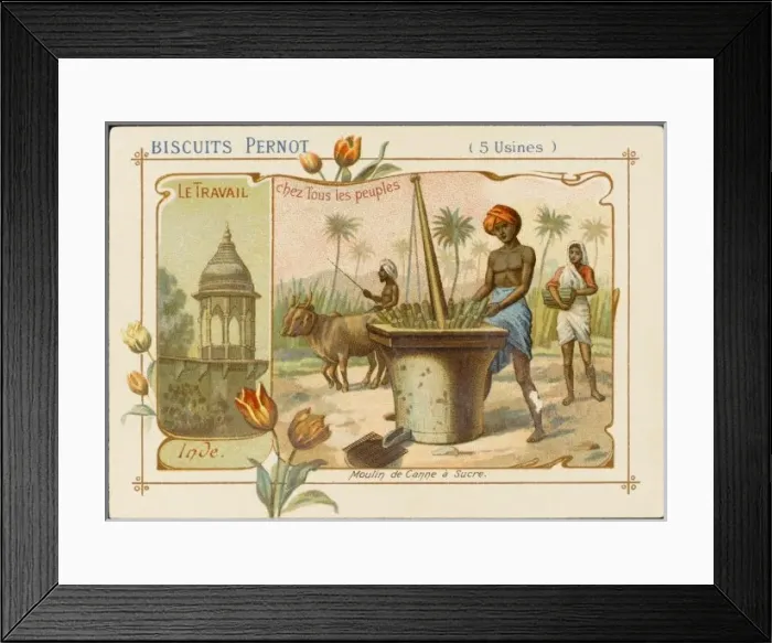 Framed Print : India - Grinding Sugar Framed Print : India - Grinding Sugar
