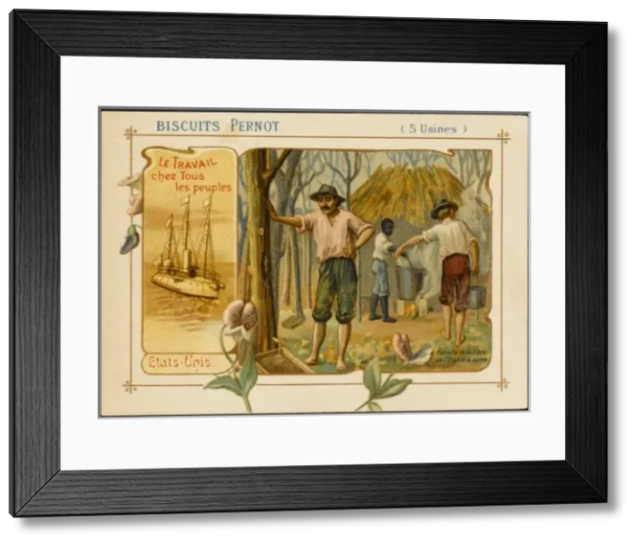 Framed Print : USA - Maple Sugar Framed Print : USA - Maple Sugar